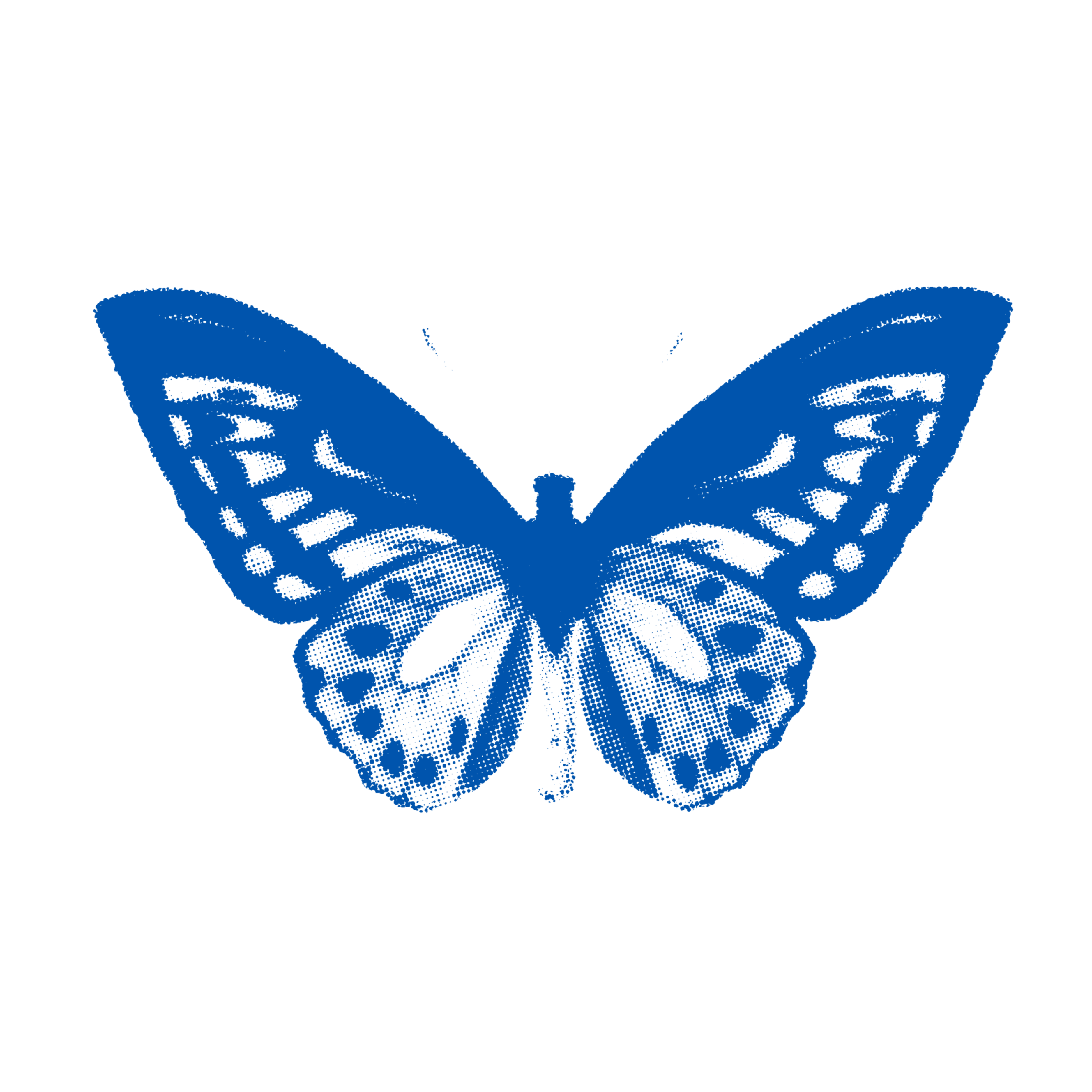 farfalla